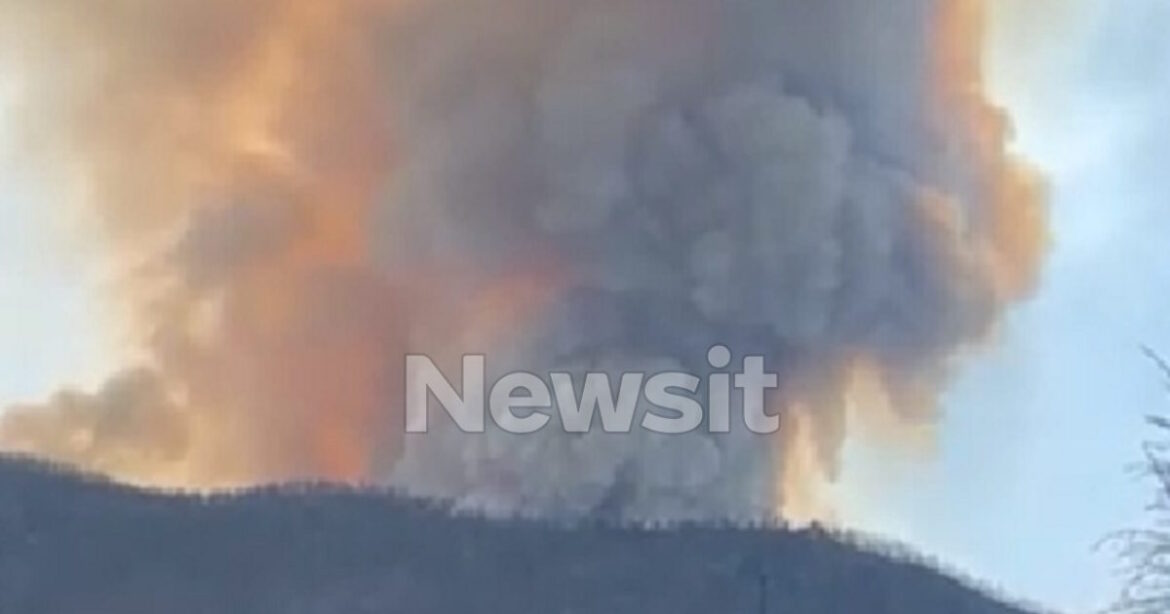 Φωτιά στην ορεινή Κορινθία: Μεγάλη αναζωπύρωση και εντολή εκκένωσης για τρεις οικισμούς